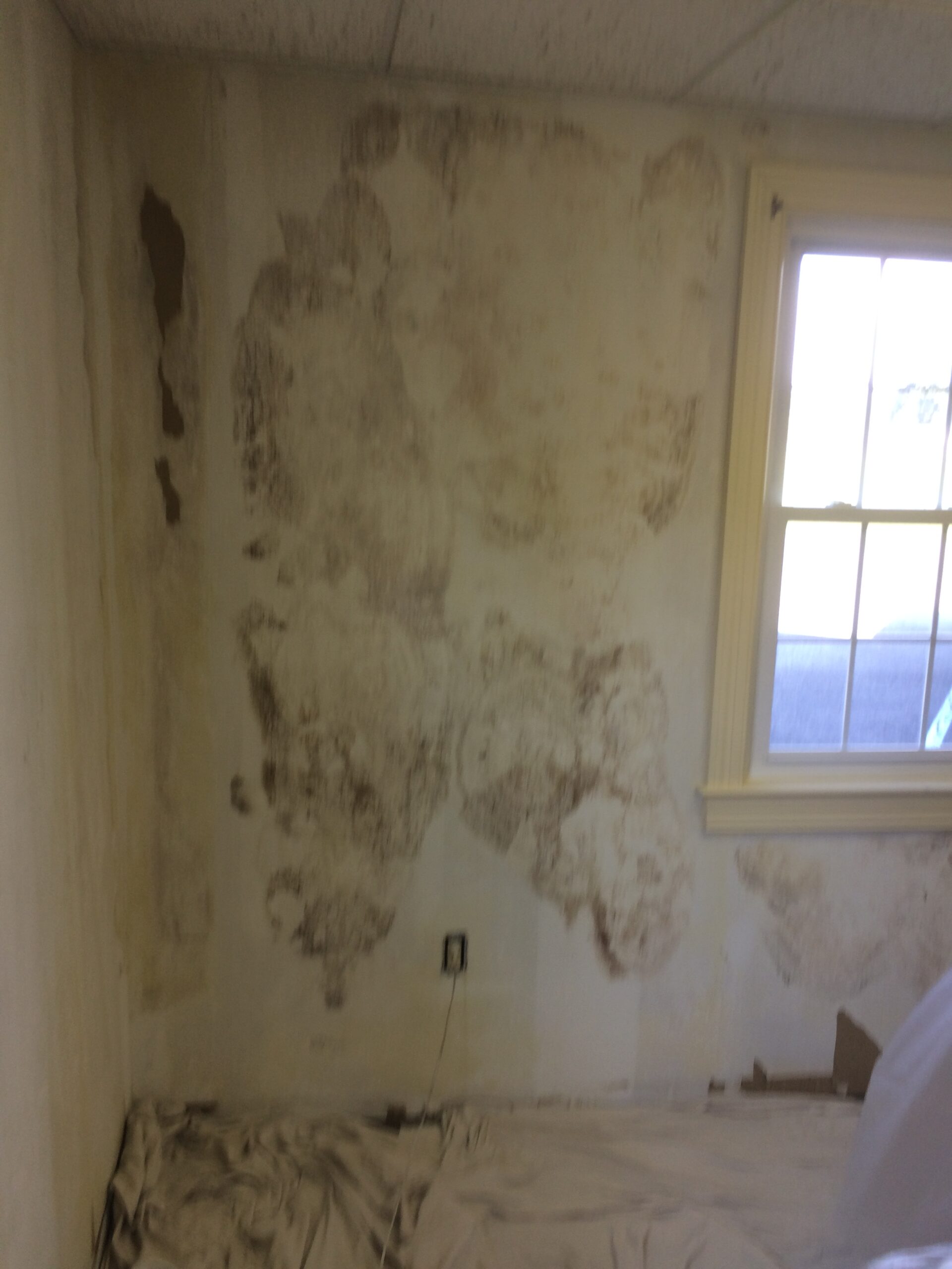 Wallpaper Removal, Drywall Repair