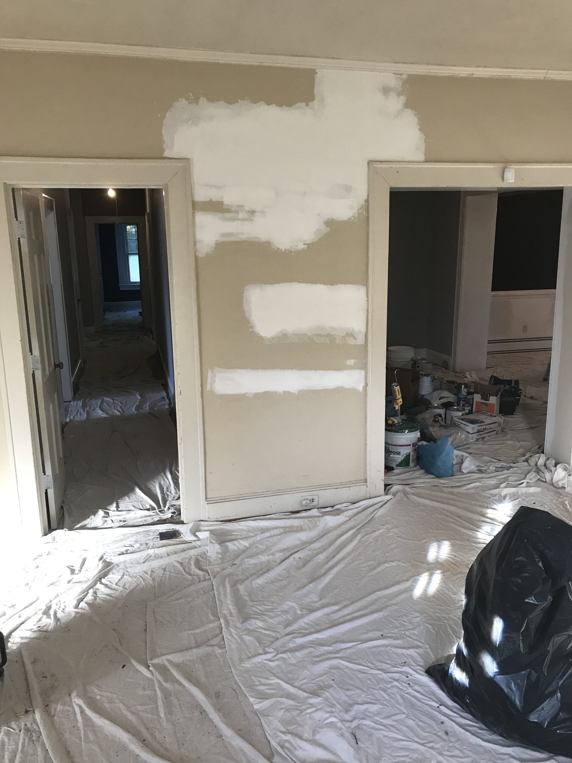 Residential Repaints